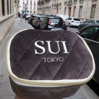 Vanity bag small gray / バニティバック スモール グレー