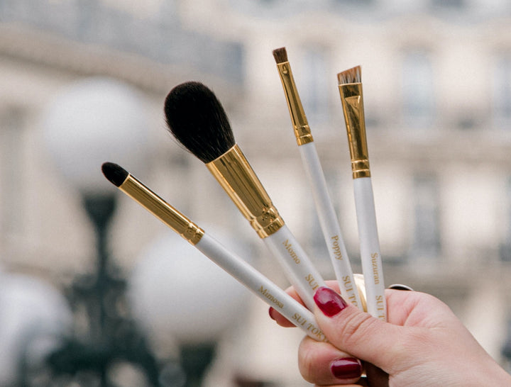 Makeup brushes petit