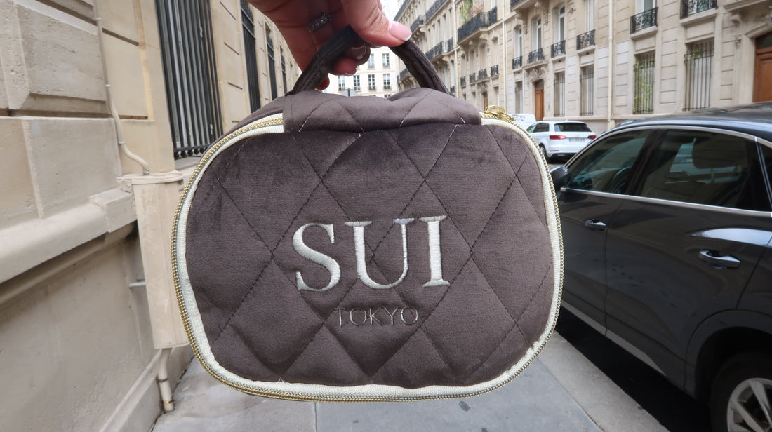 Vanity bag small gray / バニティバック　スモール　グレー