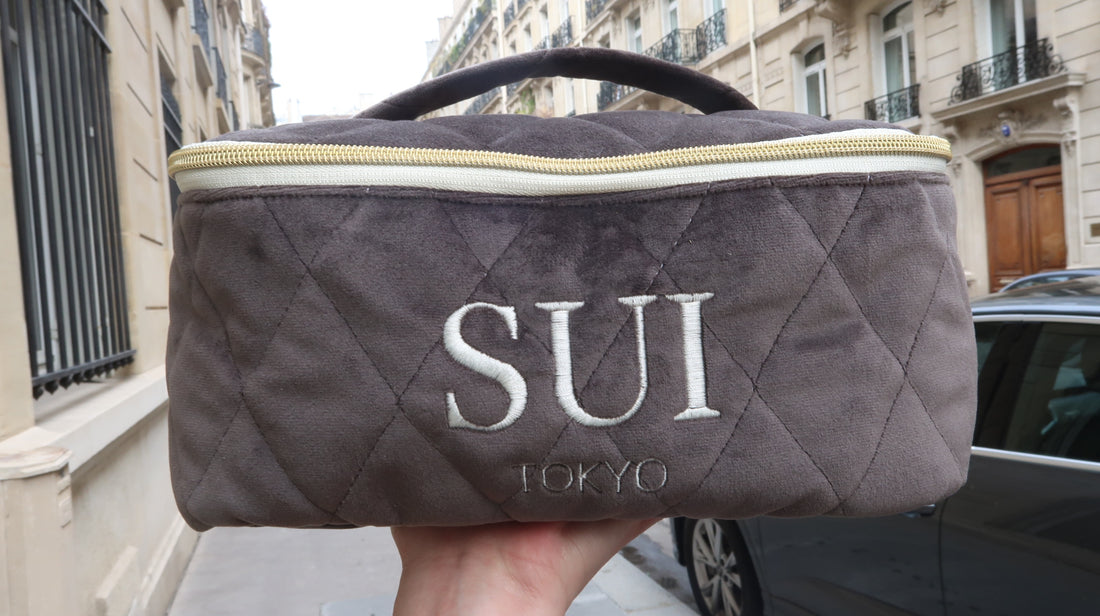 Vanity bag big gray / バニティバック　ビッグ　グレー